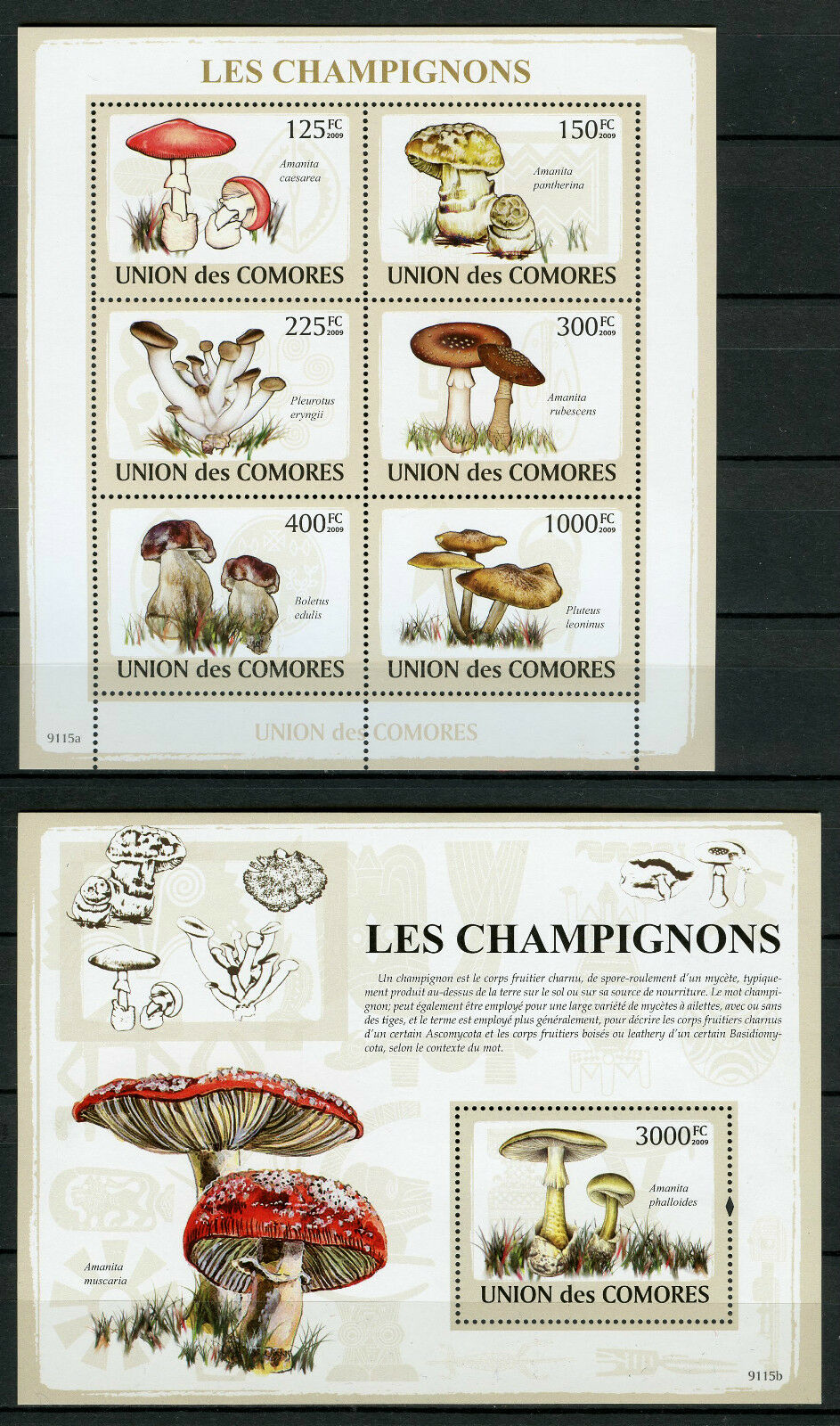 Comoros Comores 2009 MNH Mushrooms 6v M/S 1v S/S Champignons Fungi Nature Stamps