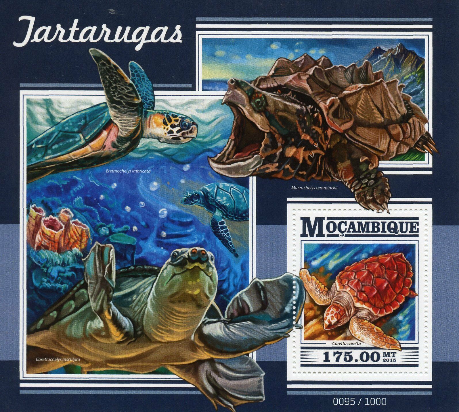 Mozambique 2015 MNH Turtles 1v S/S Reptiles Loggerhead Sea Turtle