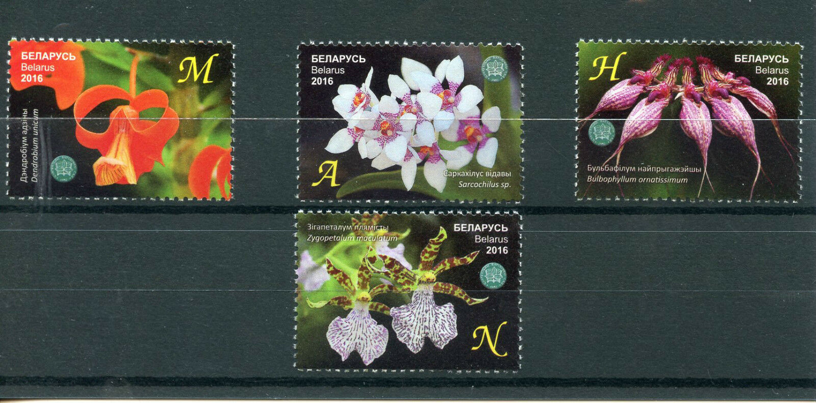 Belarus 2016 MNH Orchids Central Botanical Gardens NAS 4v Set Flowers Flora