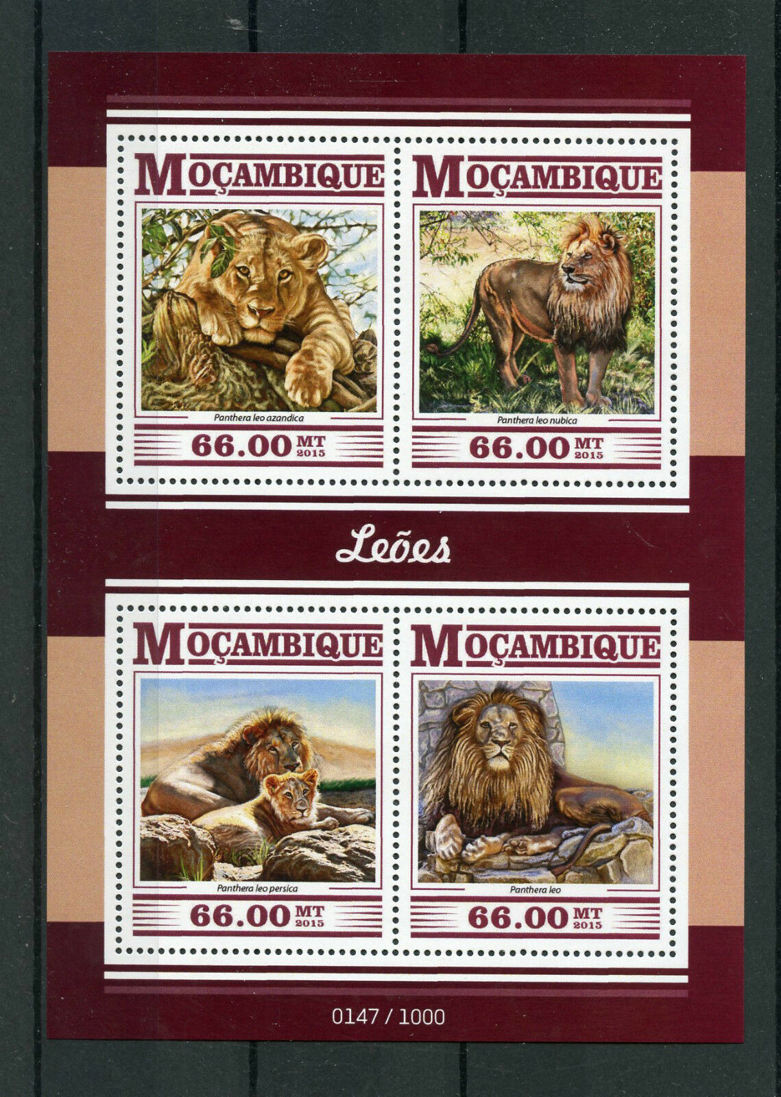 Mozambique 2015 MNH Lions 4v M/S Wild Animals Big Cats Congo Masai Asiatic Lion
