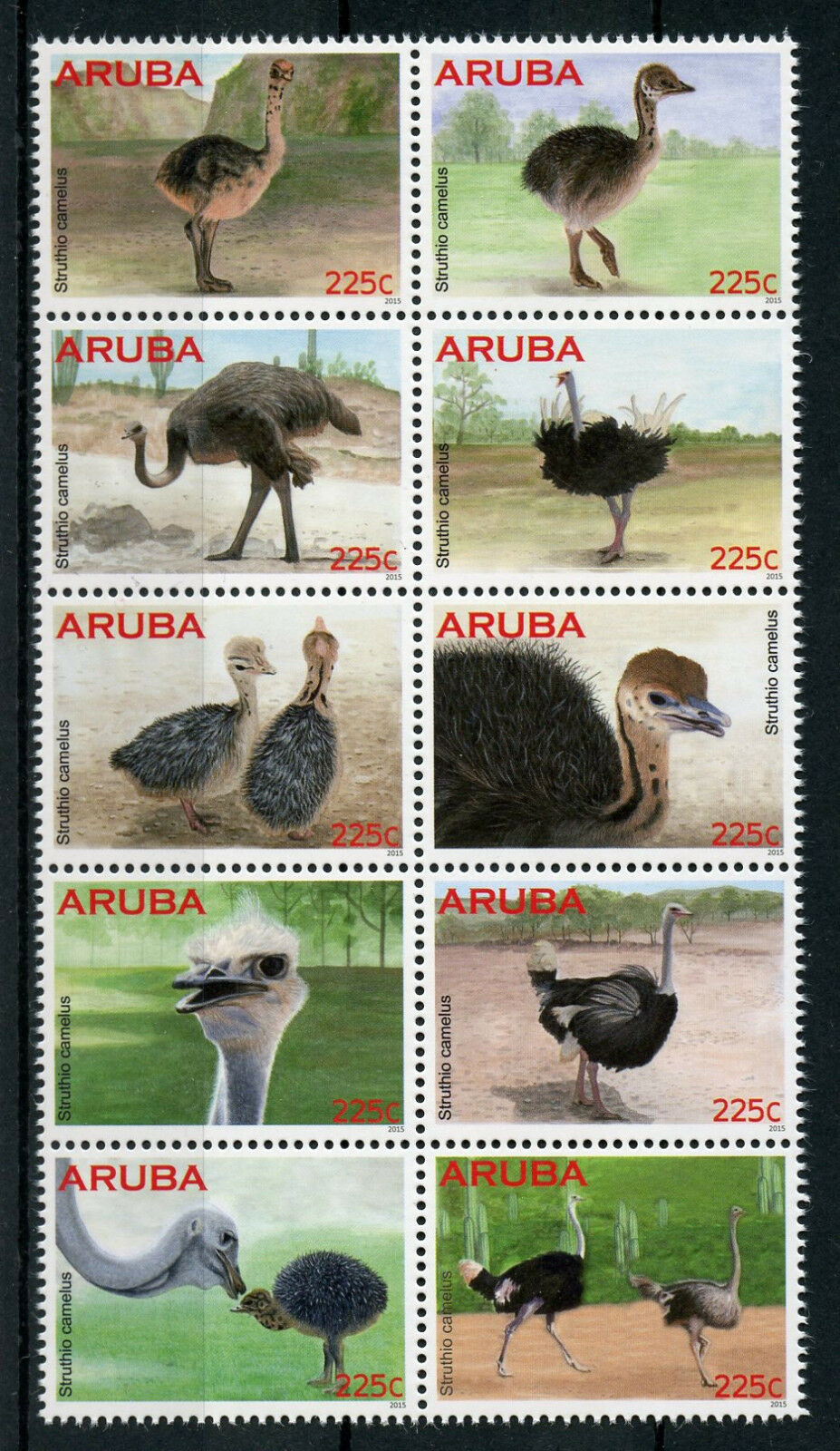 Aruba 2015 MNH Ostriches 10v Block Birds Struisvogels Vogels Stamps