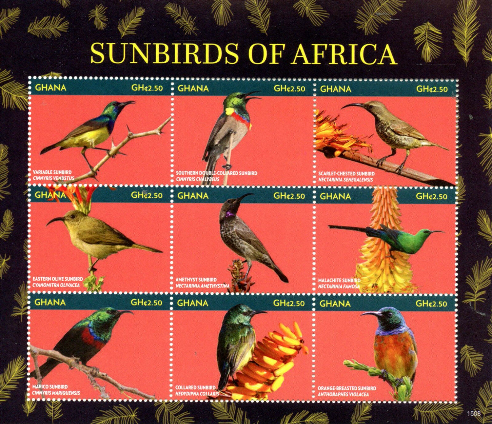 Ghana Birds on Stamps 2015 MNH Sunbirds of Africa Marico Amethyst Sunbird 9v M/S