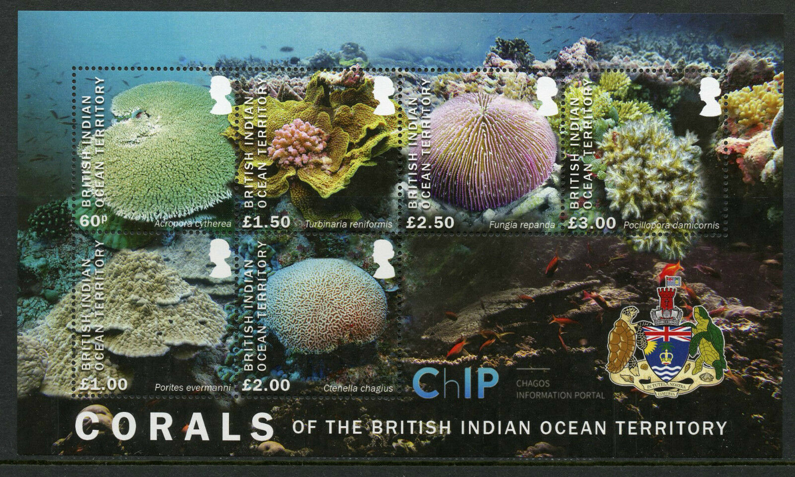 BIOT 2017 MNH Marine Animals Stamps Corals Coral Chagos 6v M/S