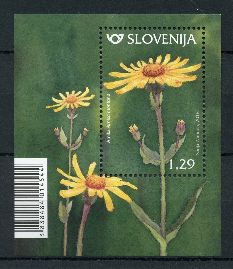 Slovenia 2018 MNH Mountain Arnica 1v M/S Plants Flowers Flora Stamps