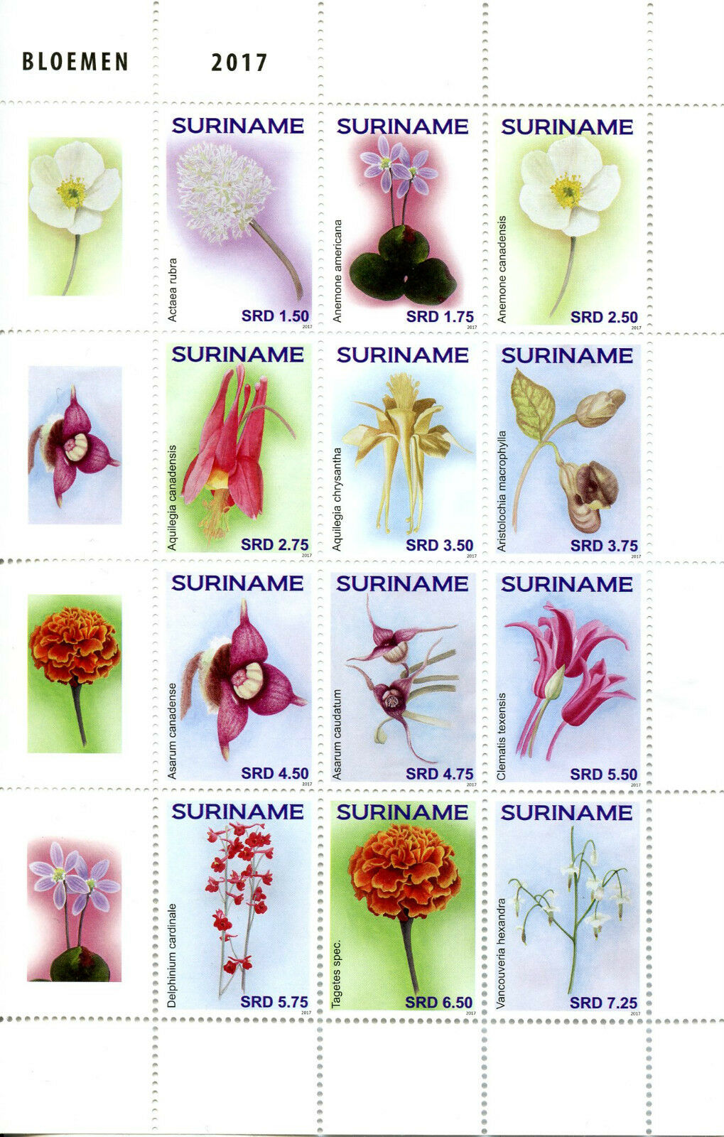 Suriname 2017 MNH Flowers 12v Block Bloemen Plants Nature Stamps