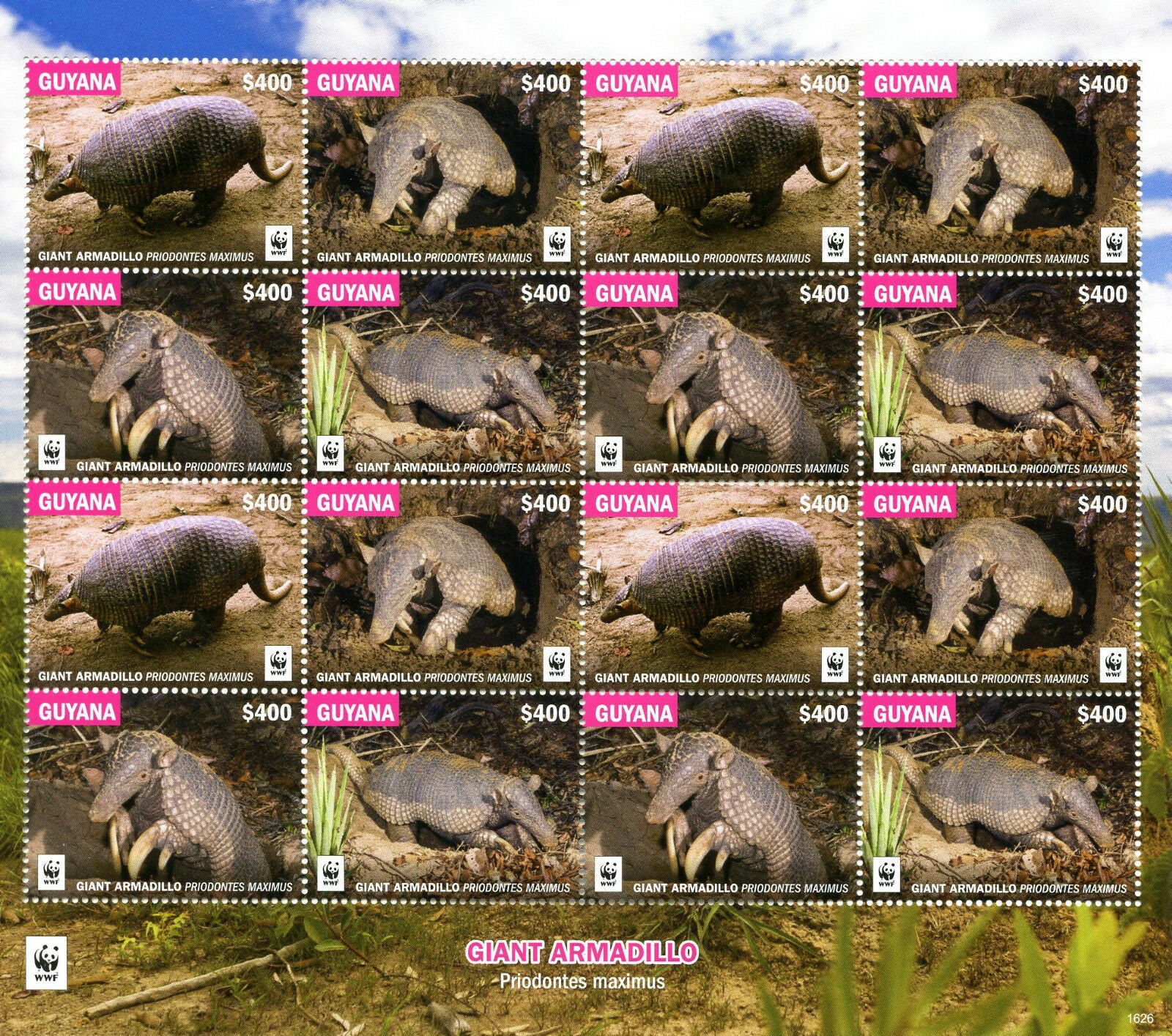 Guyana 2016 MNH Giant Armadillo WWF 16v M/S Armadillos Wild Animals Stamps