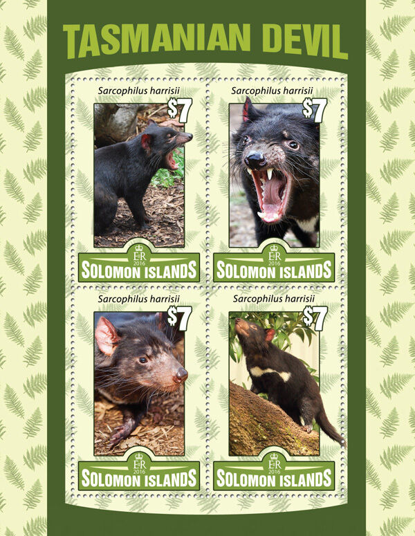 Solomon Islands 2016 MNH Wild Animals Stamps Tasmanian Devil 4v M/S