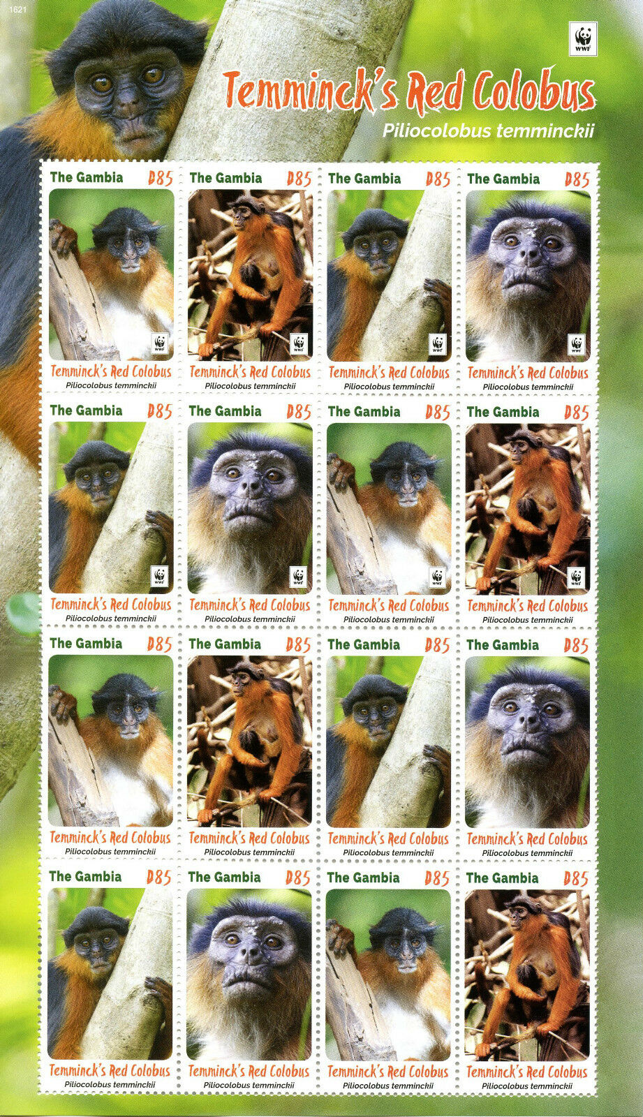 Gambia 2016 MNH Temminck's Red Colobus WWF 16v M/S Monkeys Wild Animals Stamps