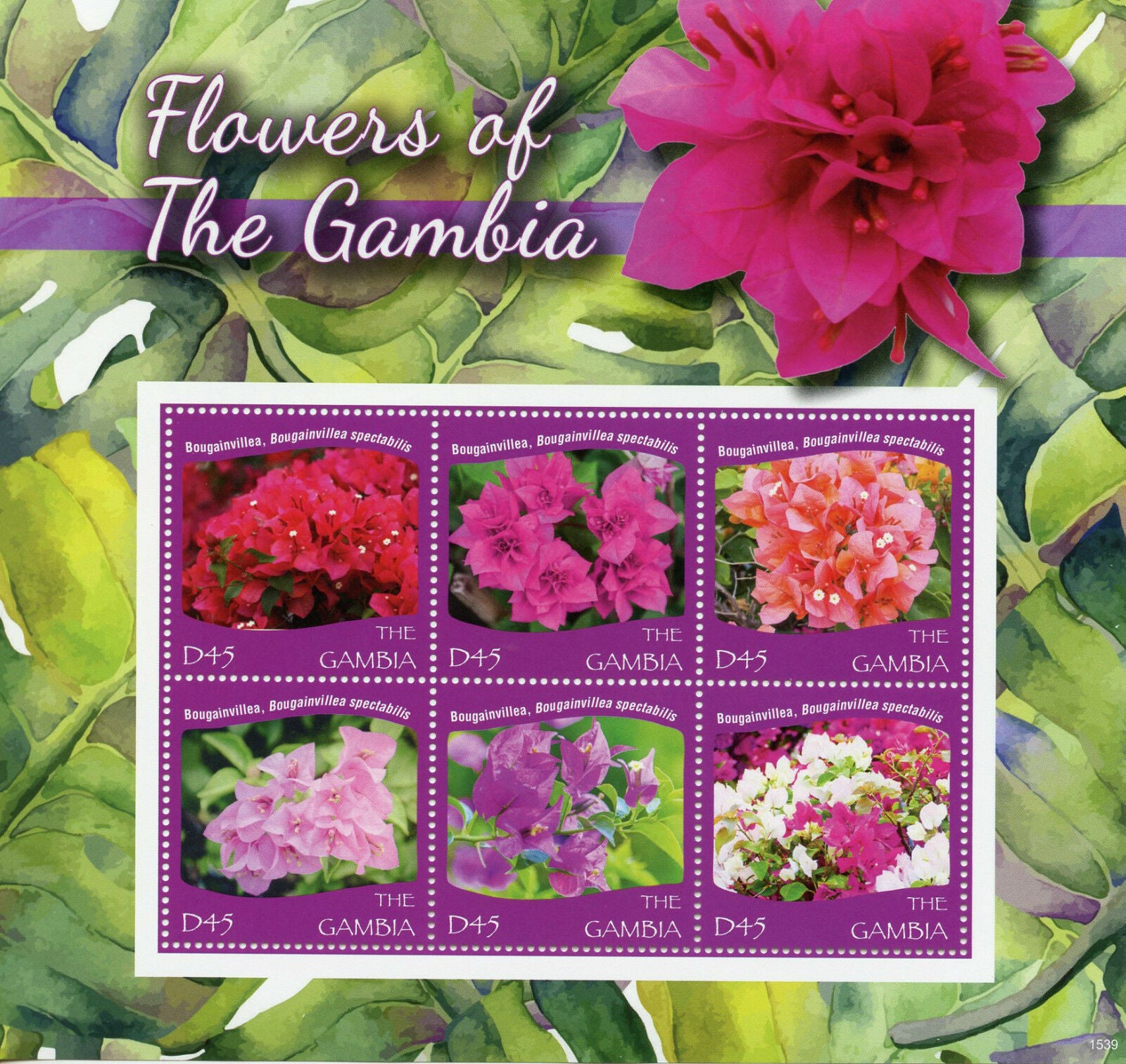 Gambia Stamps 2015 MNH Flowers of Gambia Bougainvillea Flora 6v M/S