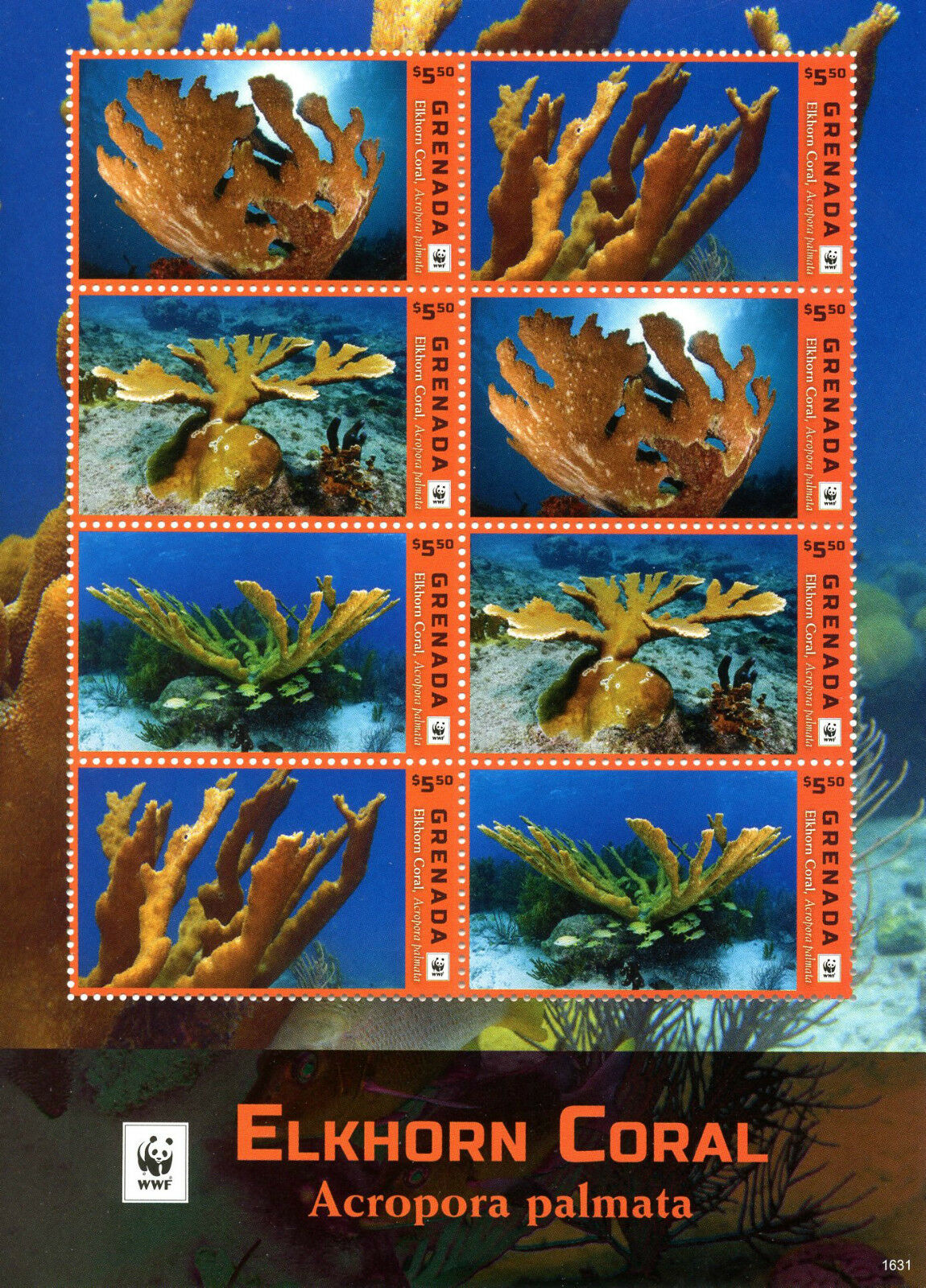 Grenada 2016 MNH Elkhorn Coral WWF 8v M/S Corals Marine Stamps
