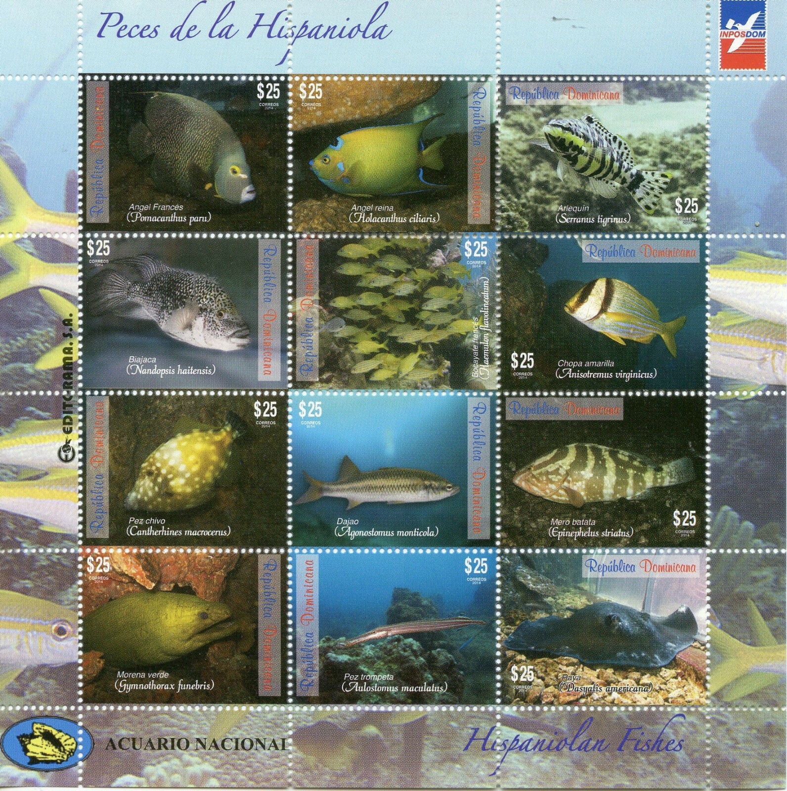 Dominican Republic 2014 MNH Hispaniolan Fishes 12v M/S Fish Marine Ray