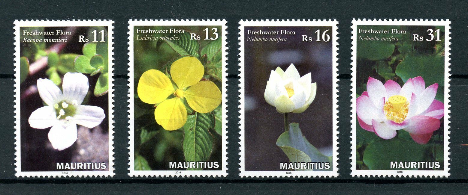 Mauritius 2016 MNH Freshwater Flora 4v Set Sacred Lotus Flowers Stamps