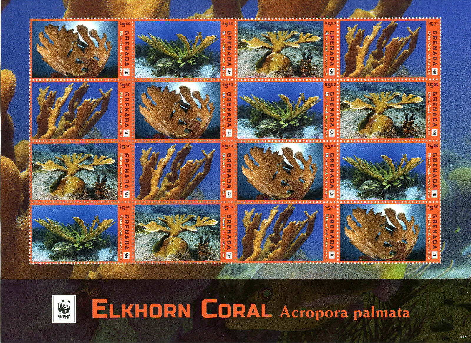 Grenada 2016 MNH Elkhorn Coral WWF 16v M/S Corals Marine Stamps