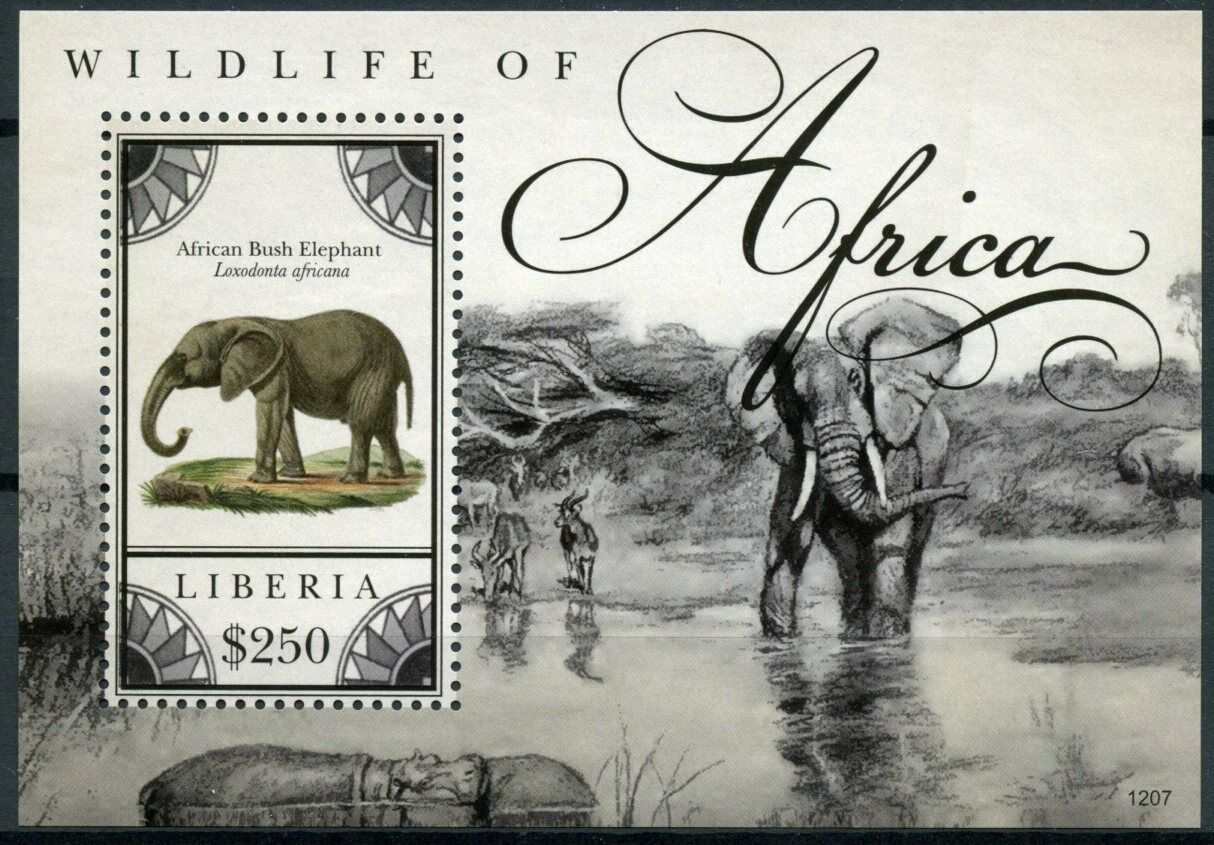 Liberia 2012 MNH Wild Animals Stamps Wildlife of Africa Elephants Fauna 1v S/S