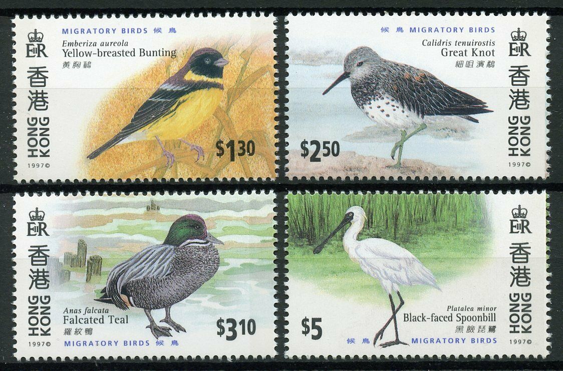 Hong Kong 1997 MNH Migratory Birds Teal Spoonbill 4v Set Ducks Birds Stamps