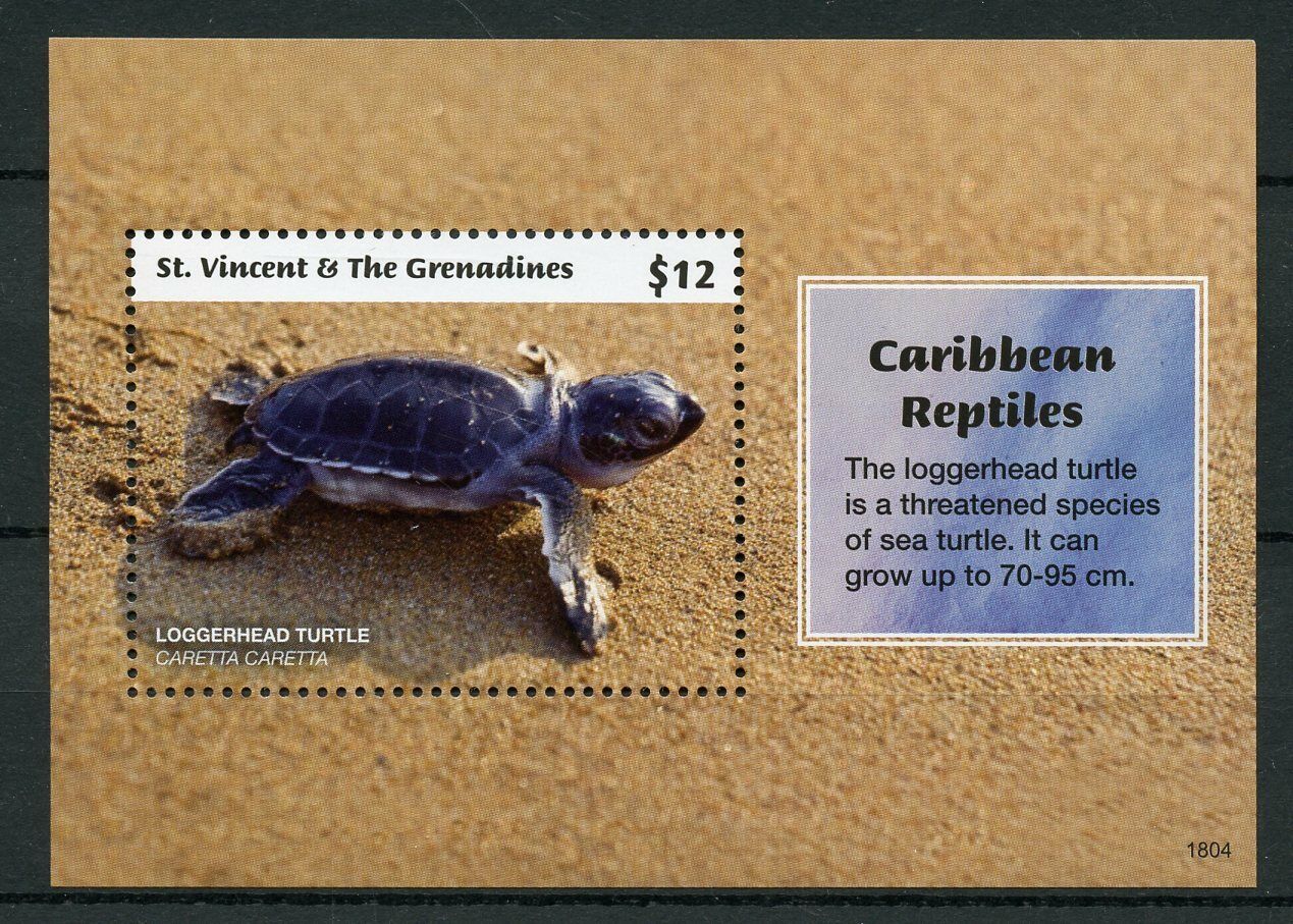 St Vincent & Grenadines 2018 MNH Turtles Stamps Caribbean Reptiles Turtle 1v S/S