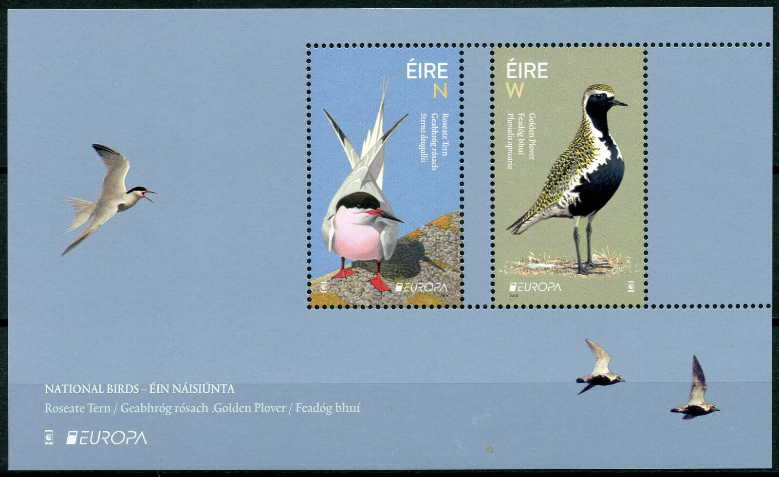 Ireland 2019 MNH National Birds Europa 2v M/S Terns Plovers Waders Stamps