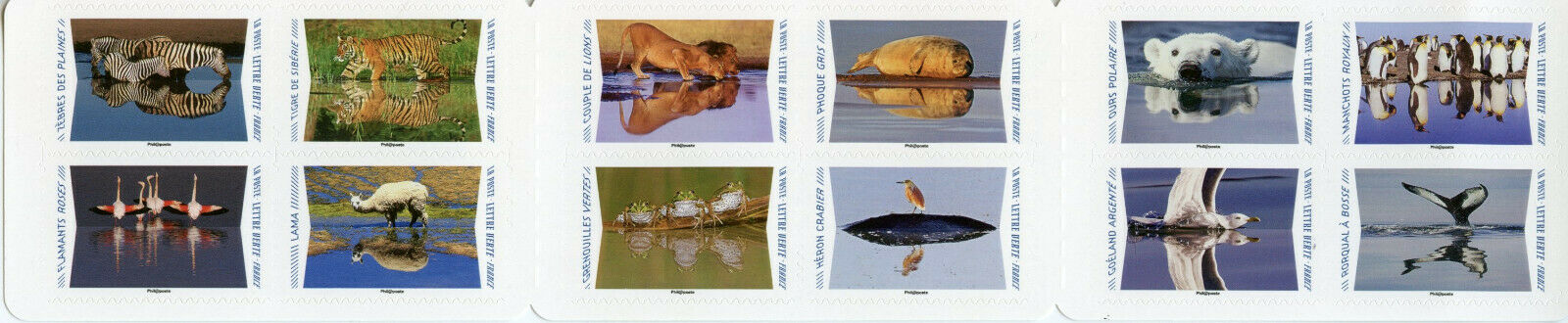 France Wild Animals Stamps 2020 MNH Lions Tigers Zebras Penguins 12v S/A Booklet