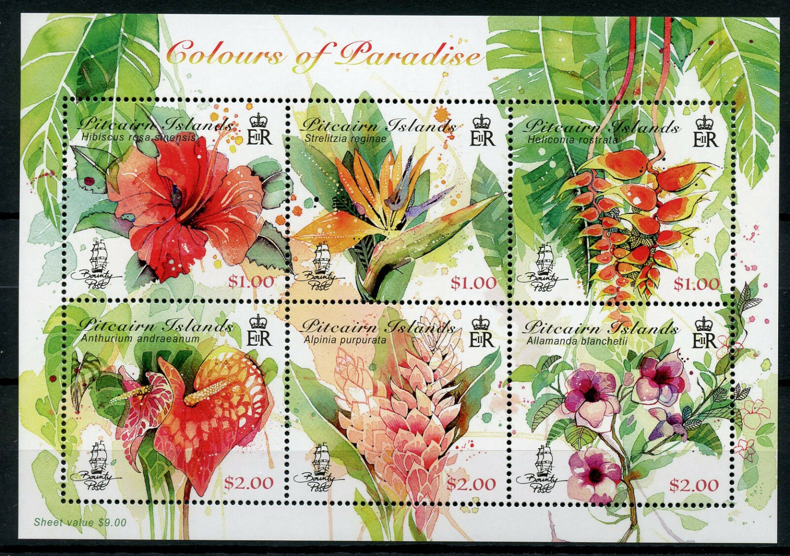 Pitcairn Islands 2018 MNH Colours of Paradise Hibiscus 6v M/S Flowers Stamps