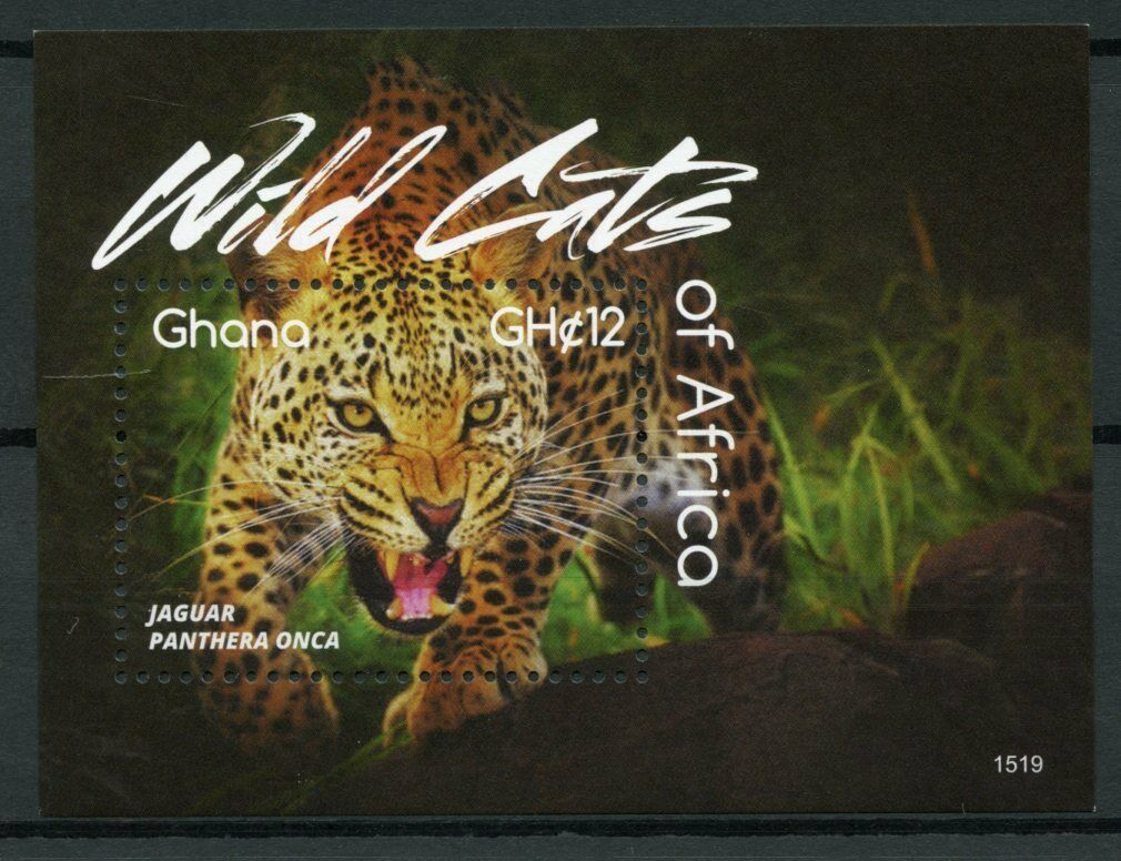 Ghana Wild Animals Stamps 2015 MNH Wild Cats of Africa Jaguars Fauna 1v S/S I