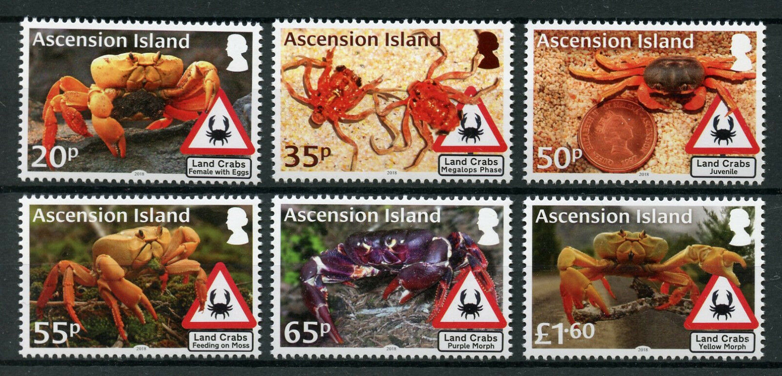Ascension Island 2018 MNH Marine Animals Stamps Land Crabs Crustaceans 6v Set