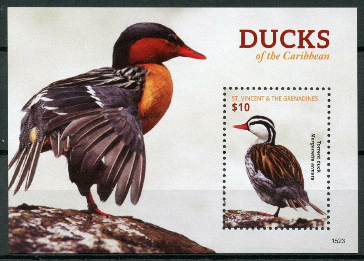 St Vincent & Grenadines 2015 MNH Birds on Stamps Ducks of Caribbean Ducks 1v S/S I