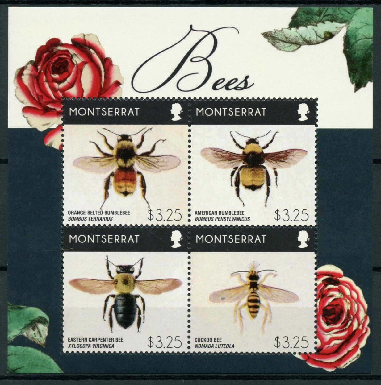 Montserrat Bees Stamps 2015 MNH Bumblebee Carpenter Bee Insects 4v M/S