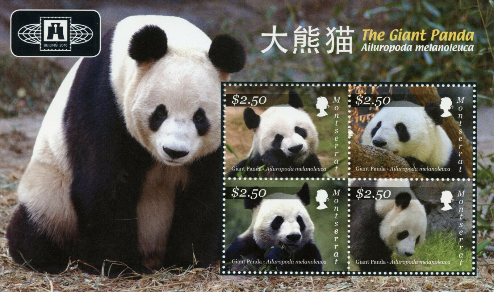Montserrat 2010 MNH Wild Animals Stamps Giant Pandas Panda Beijing 2010 4v M/S