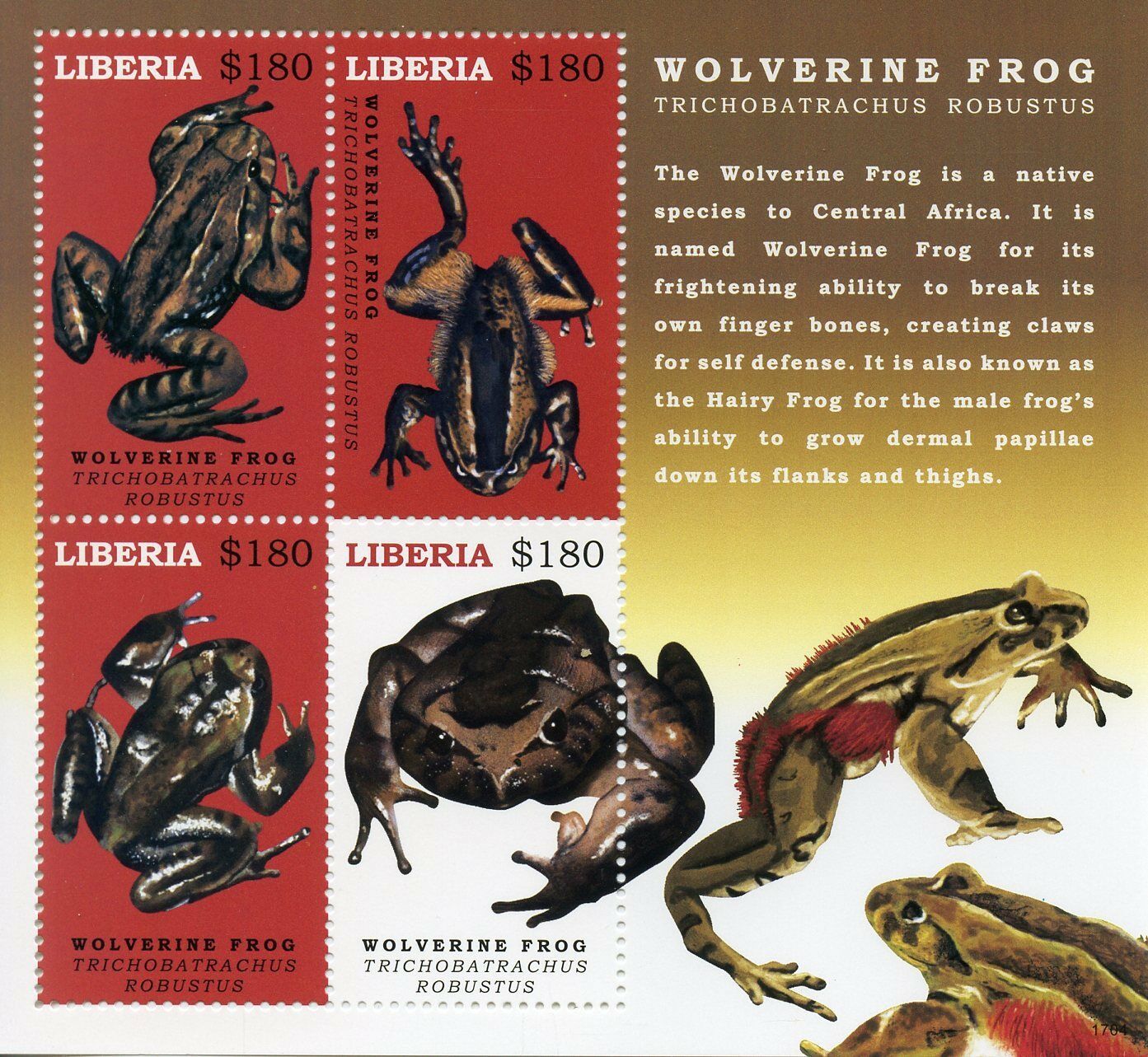 Liberia 2017 MNH Wolverine Frog 4v M/S Amphibians Frogs Stamps