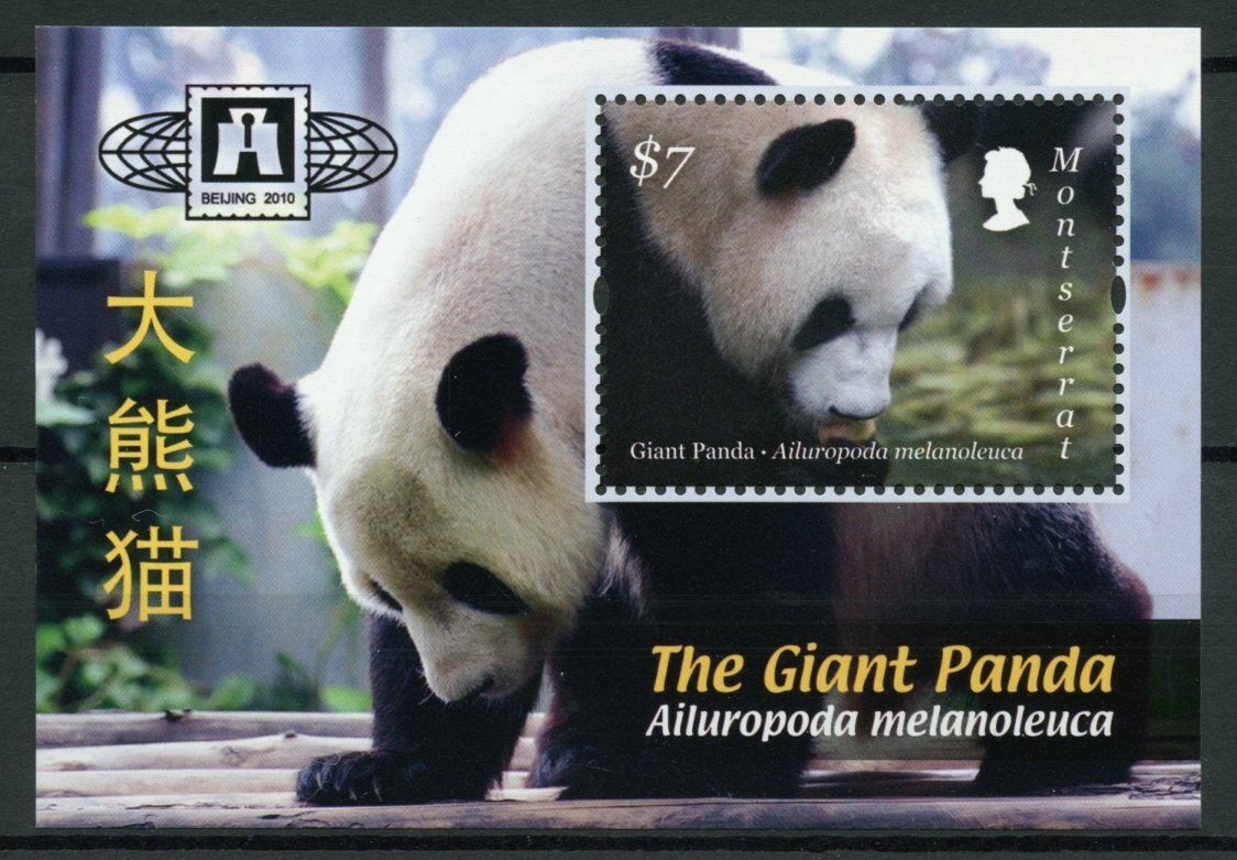 Montserrat Wild Animals Stamps 2010 MNH Giant Pandas Panda Beijing 2010 1v S/S