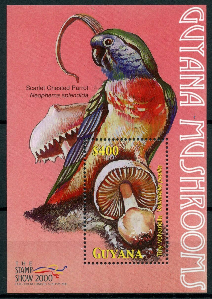 Guyana 2000 MNH Mushrooms Stamps Tiny Volvariella Fungi Parrots 1v S/S II