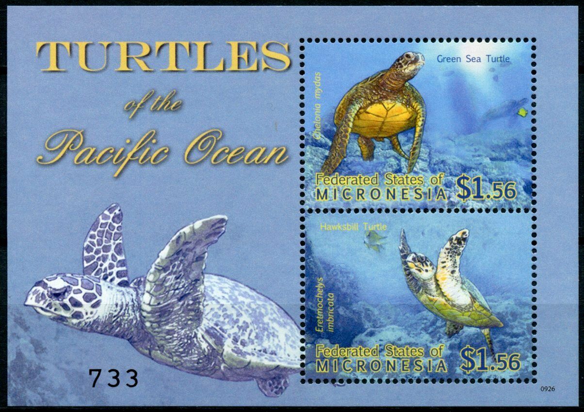 Micronesia 2009 MNH Reptiles Stamps Turtles of Pacific Green Sea Hawksbill Turtle 2v S/S