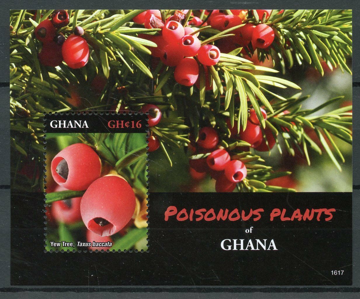 Ghana Stamps 2016 MNH Poisonous Plants Yew Tree Trees Nature 1v S/S I