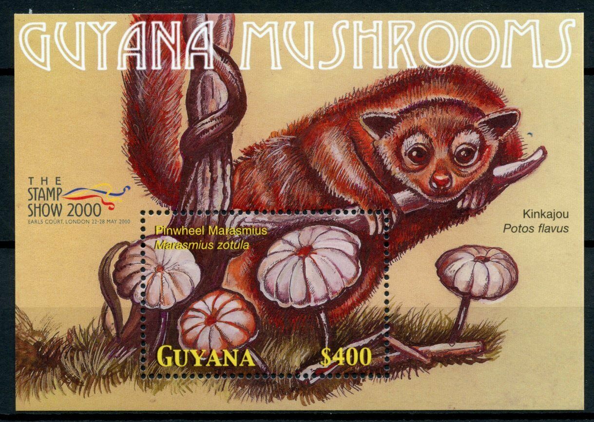 Guyana Mushrooms Stamps 2000 MNH Pinwheel Marasmius Fungi Kinkajou 1v S/S III