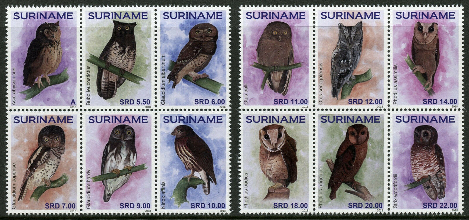 Suriname 2018 MNH Owls Owl 2x 6v Block Birds of Prey Stamps