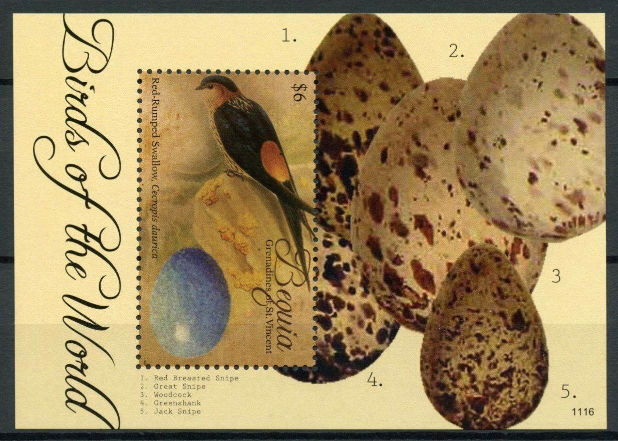 Bequia Grenadines St Vincent 2011 MNH Stamps Birds of World Swallow 1v S/S II