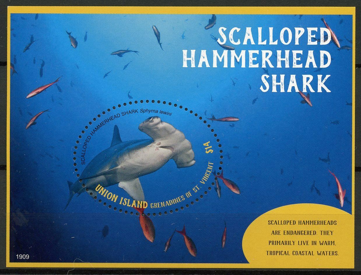 Union Island Gren St Vincent Stamps 2019 MNH Scalloped Hammerhead Sharks 1v S/S