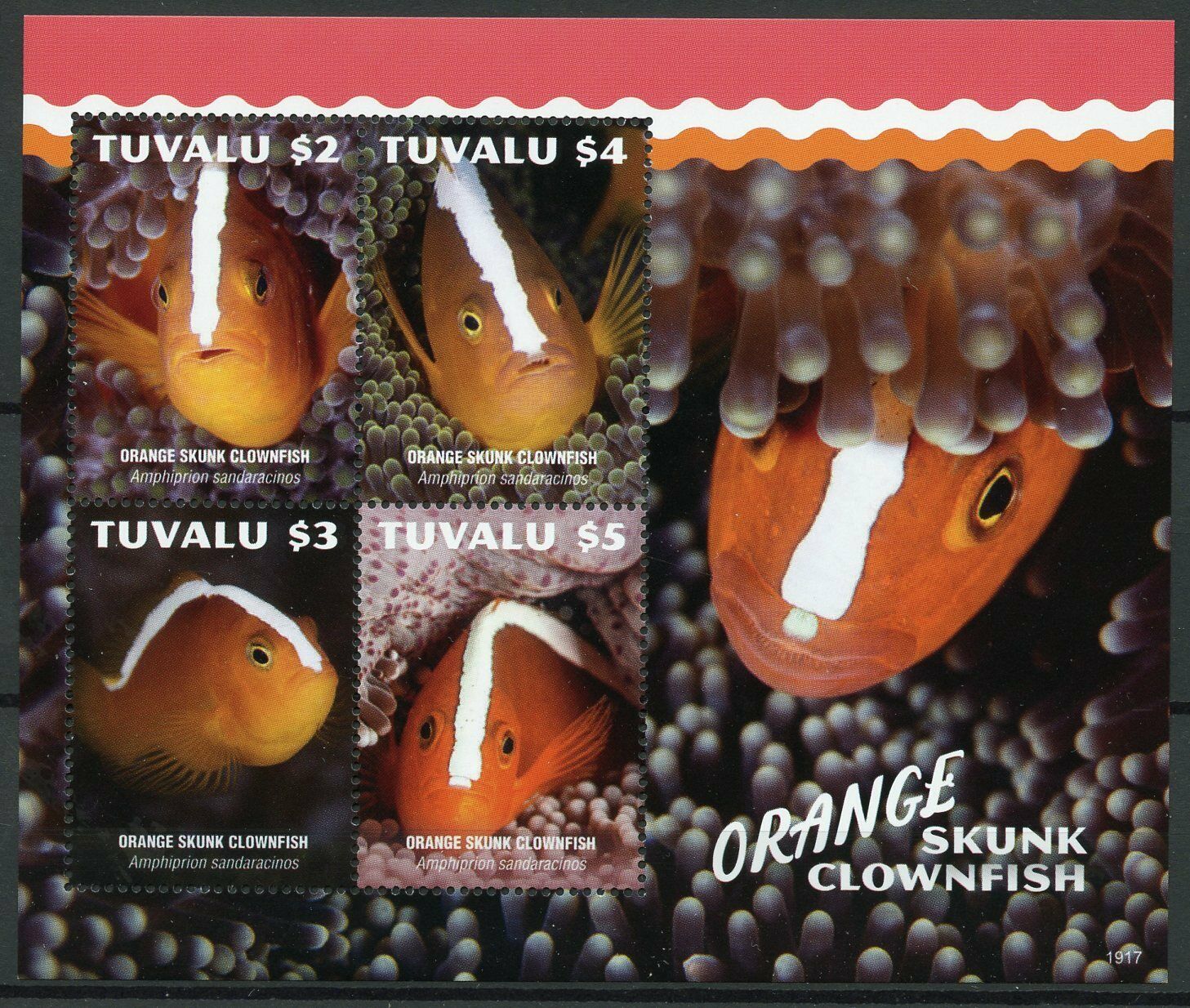 Tuvalu 2019 MNH Fish Stamps Orange Skunk Clownfish Fishes 4v M/S