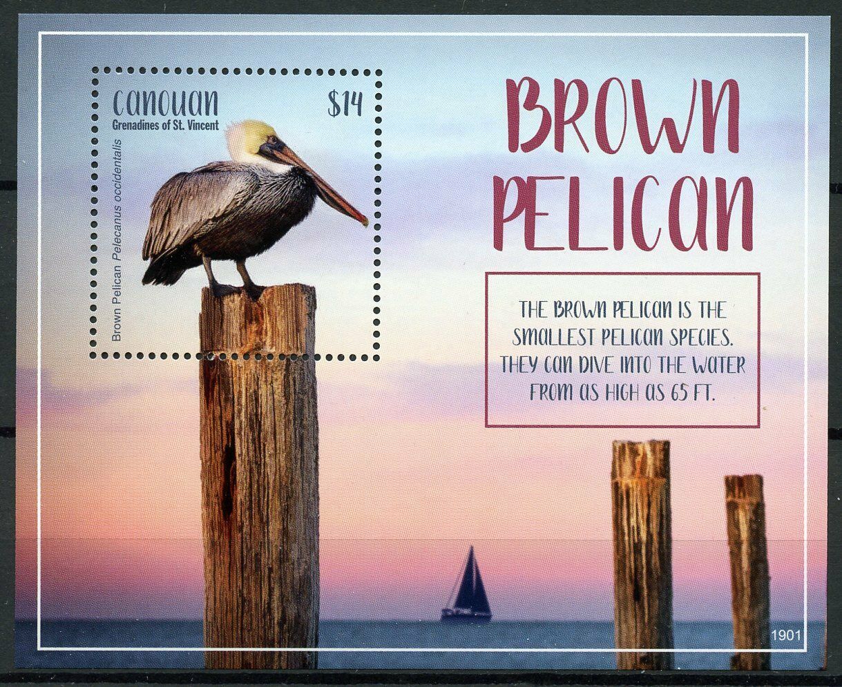 Canouan Grenadines St Vincent Stamps 2019 MNH Brown Pelicans Birds 1v S/S