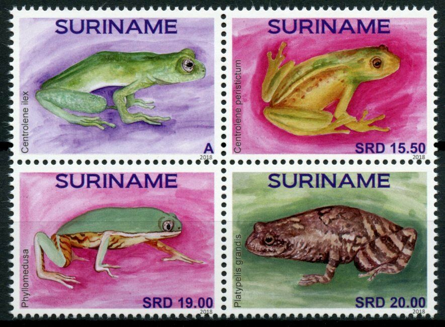 Suriname Frogs Stamps 2018 MNH Kikkers Frog Amphibians 4v Block