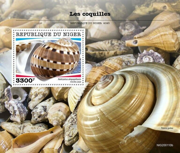 Niger Seashells Stamps 2020 MNH Shells Naticarius Tonna Marine 1v S/S
