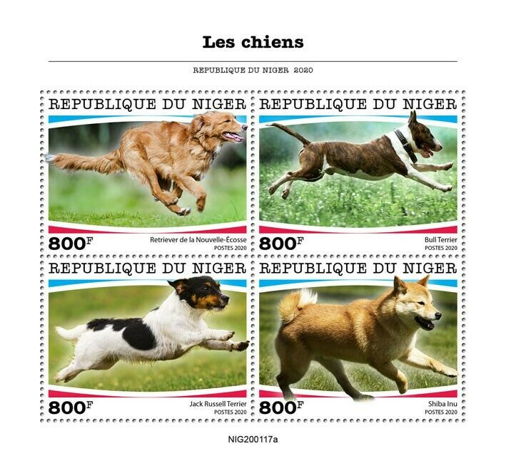 Niger 2020 MNH Dogs Stamps Bull Terrier Jack Russell Shiba Inu Retriever 4v M/S