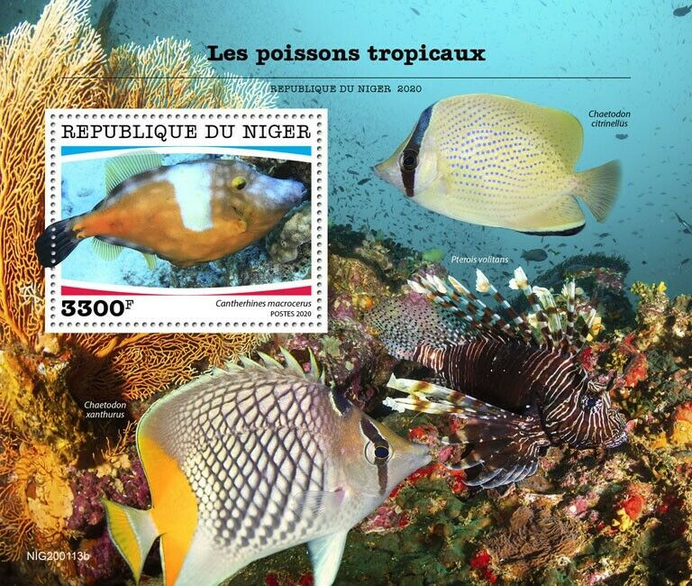 Niger Tropical Fish Stamps 2020 MNH Fishes Filefish Red Lionfish 1v S/S