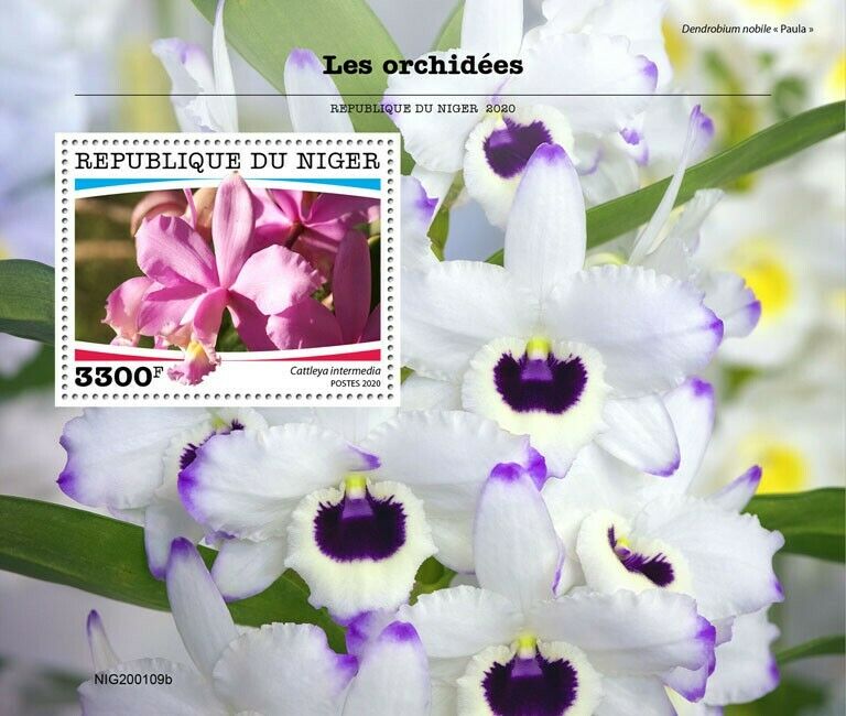 Niger Flowers Stamps 2020 MNH Orchids Cattleya Orchid Flora Nature 1v S/S