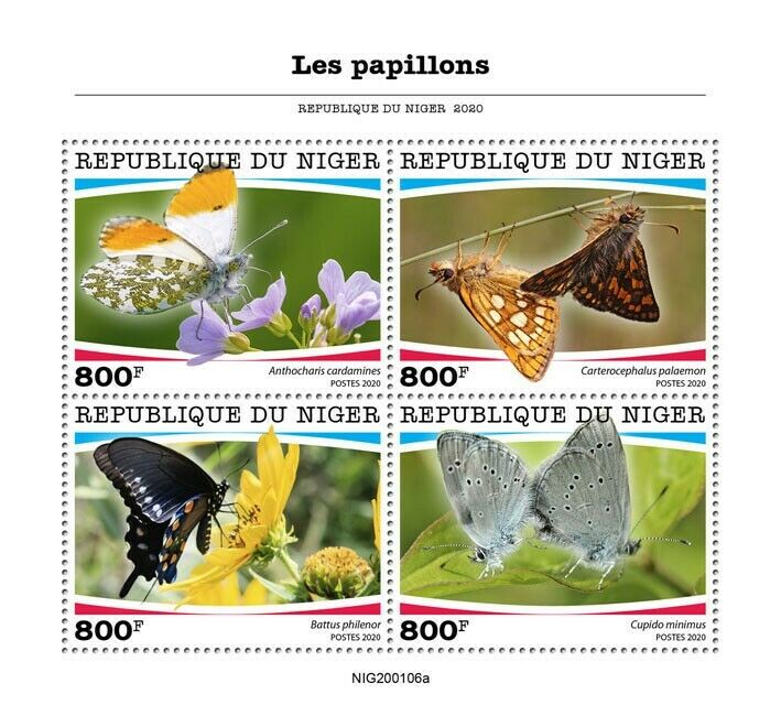 Niger 2020 MNH Butterflies Stamps Small Blue Orange-tip Butterfly Insects 4v M/S