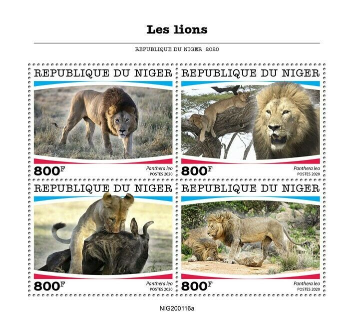 Niger 2020 MNH Wild Animals Stamps Lions Lion Big Cats Fauna 4v M/S