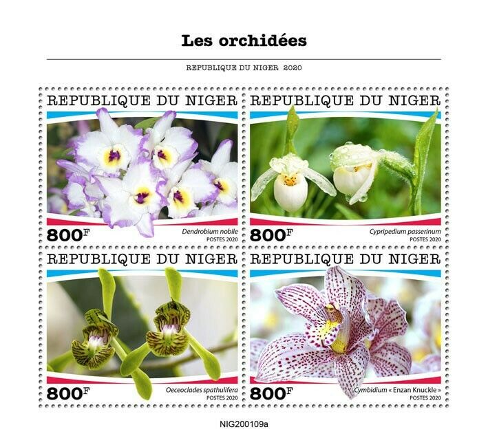 Niger Flowers Stamps 2020 MNH Orchids Dendrobium Orchid Flora Nature 4v M/S