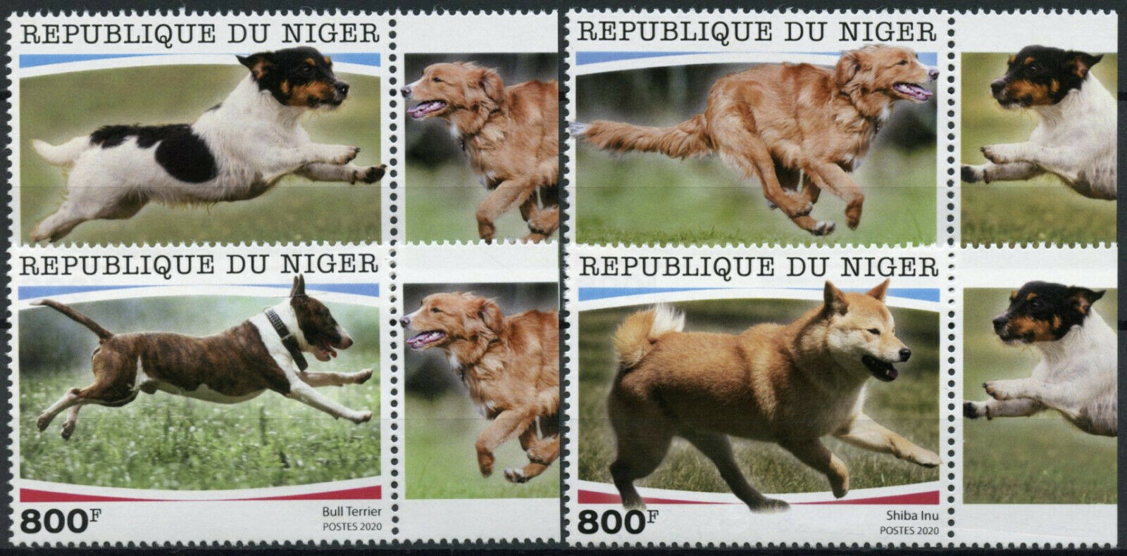 Niger Dogs Stamps 2020 MNH Bull Terrier Jack Russell Shiba Inu Retriever 4v Set