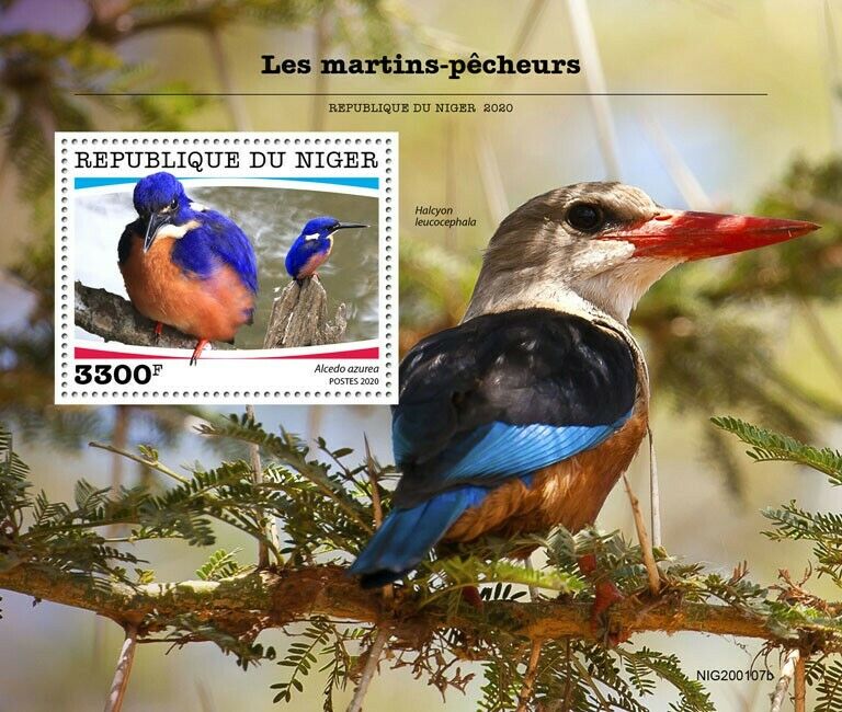 Niger 2020 MNH Birds on Stamps Kingfishers Azure Kingfisher 1v S/S