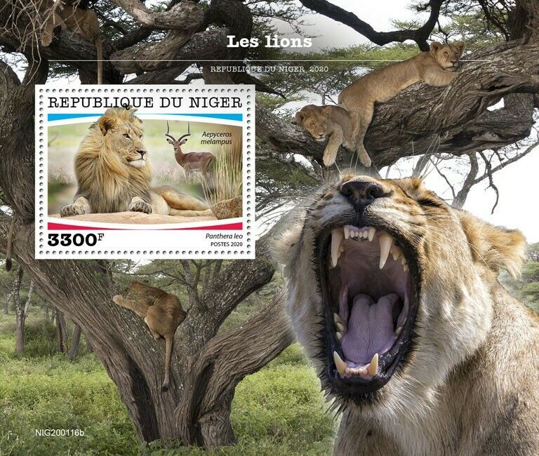 Niger 2020 MNH Wild Animals Stamps Lions Lion Big Cats Fauna 1v S/S
